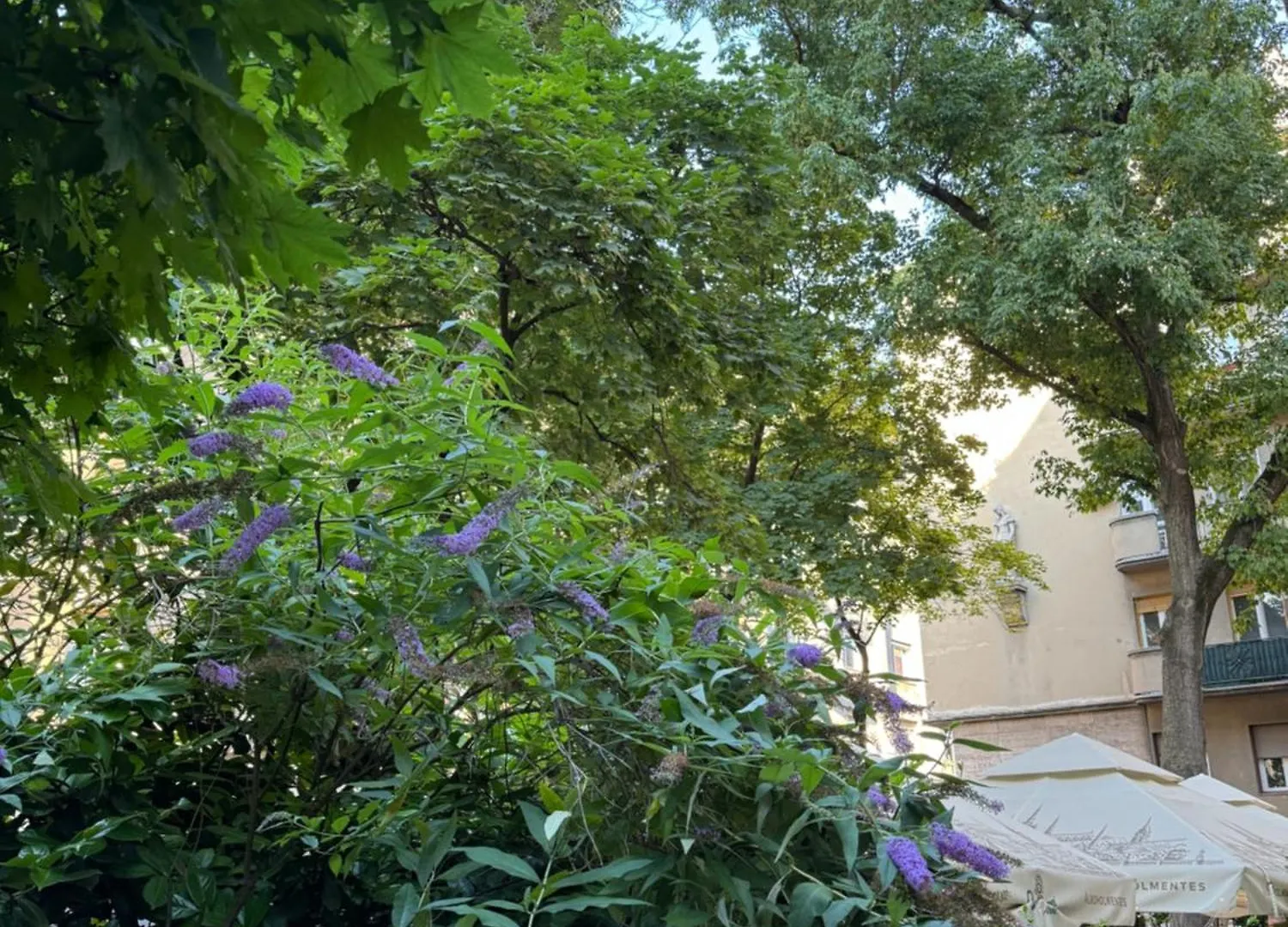 Studio V Budapest Apartment